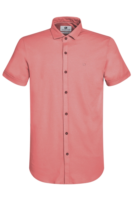 Gabbiano 335934